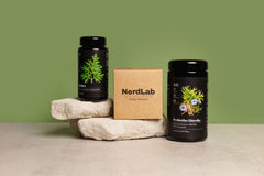 Malörtskapslar+chlorella+shilajit