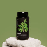 Malort-wormwood capsules 120