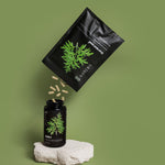 Malort-wormwood capsules (1)